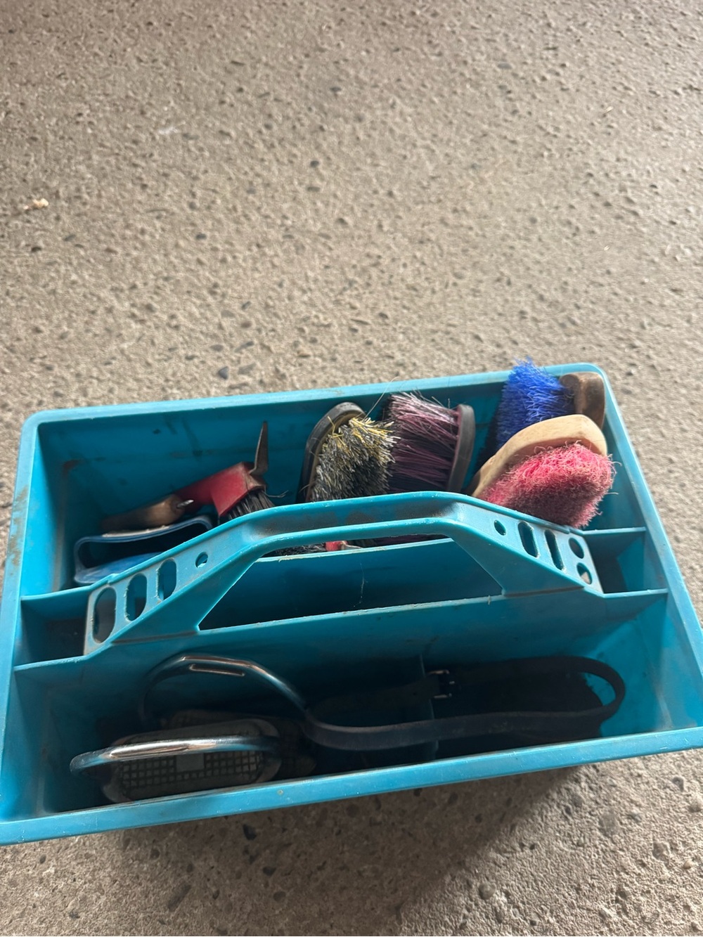 Equestrian grooming lot